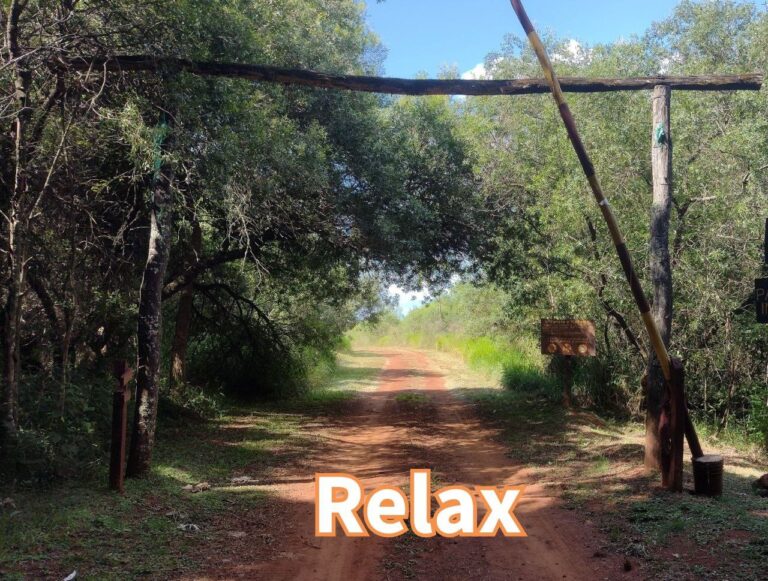La mejor manera de relajar el cuerpo, la mente y el alma.