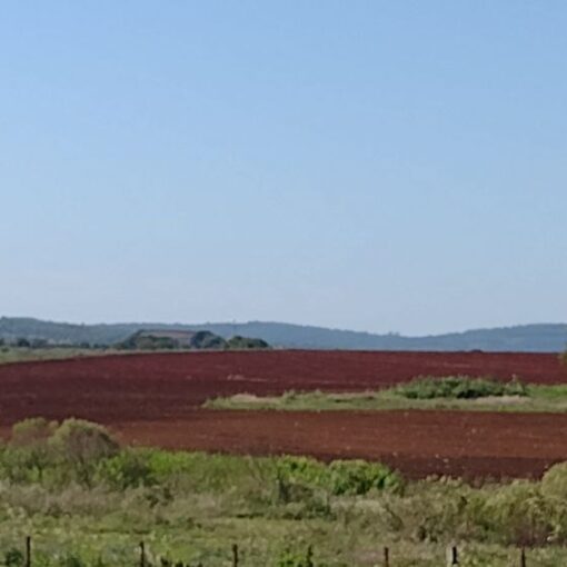 La tierra nunca debe estar desnuda.