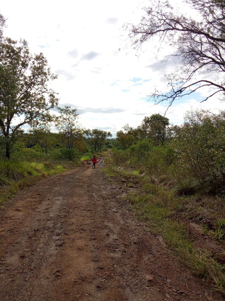 otro ciclo, y van 56…