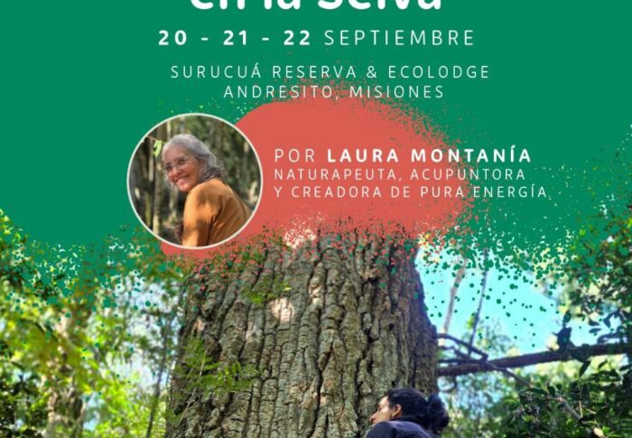 Retiro de Autorreparación en la Selva