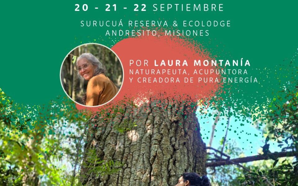 Retiro de Autorreparación en la Selva
