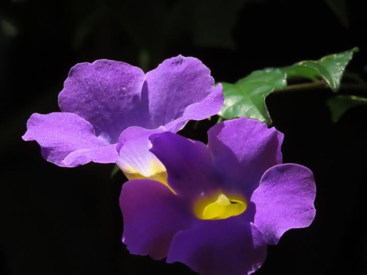 La vida es real, es natural.