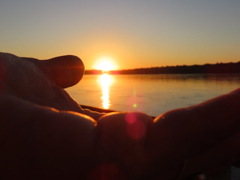 Retiro de Autorreparación en la Selva. Otoño 2026