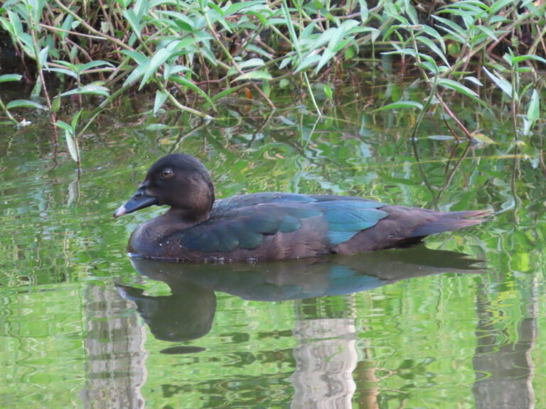 La VIDA es real, no una ficción y ES un derecho inalienable.