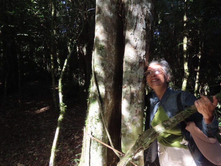 Te propongo retirarte a la selva para autorreparar tal como ella lo hace.