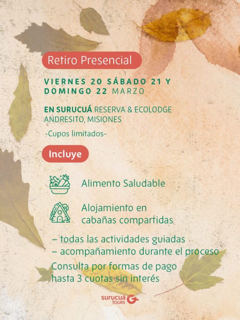 Retiro de autorreparación en la selva – Otoño