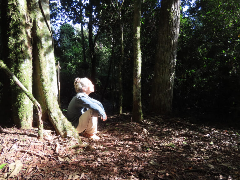 Retirarse a la selva