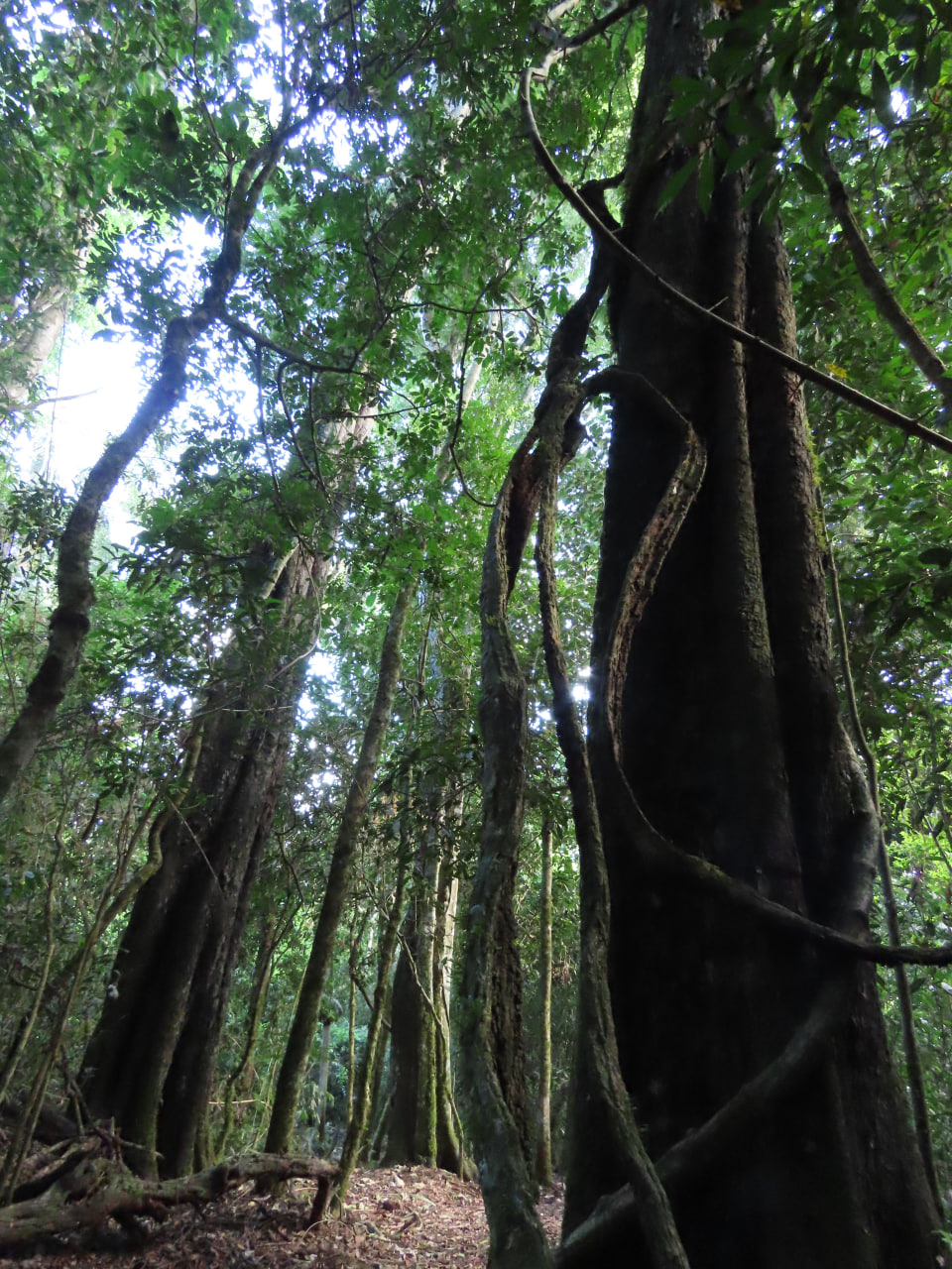 photo_2026-03-23_13-00-23