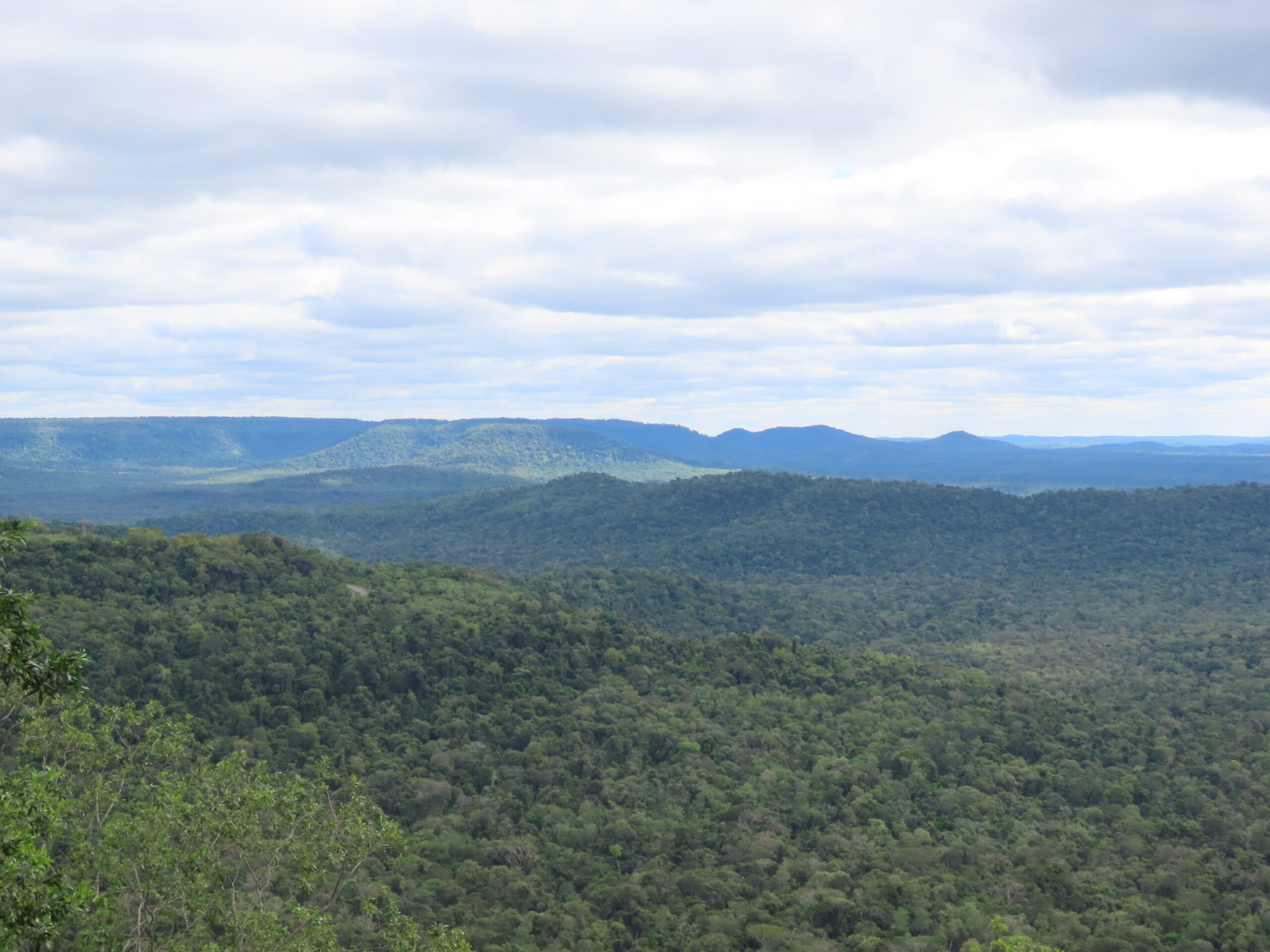 El Valle Cuñá Pirú es el hogar de mucha gente que convive con infinidad de árboles e infinidad de animales de todos los tamaños, en armonía. Ni se nota que están.